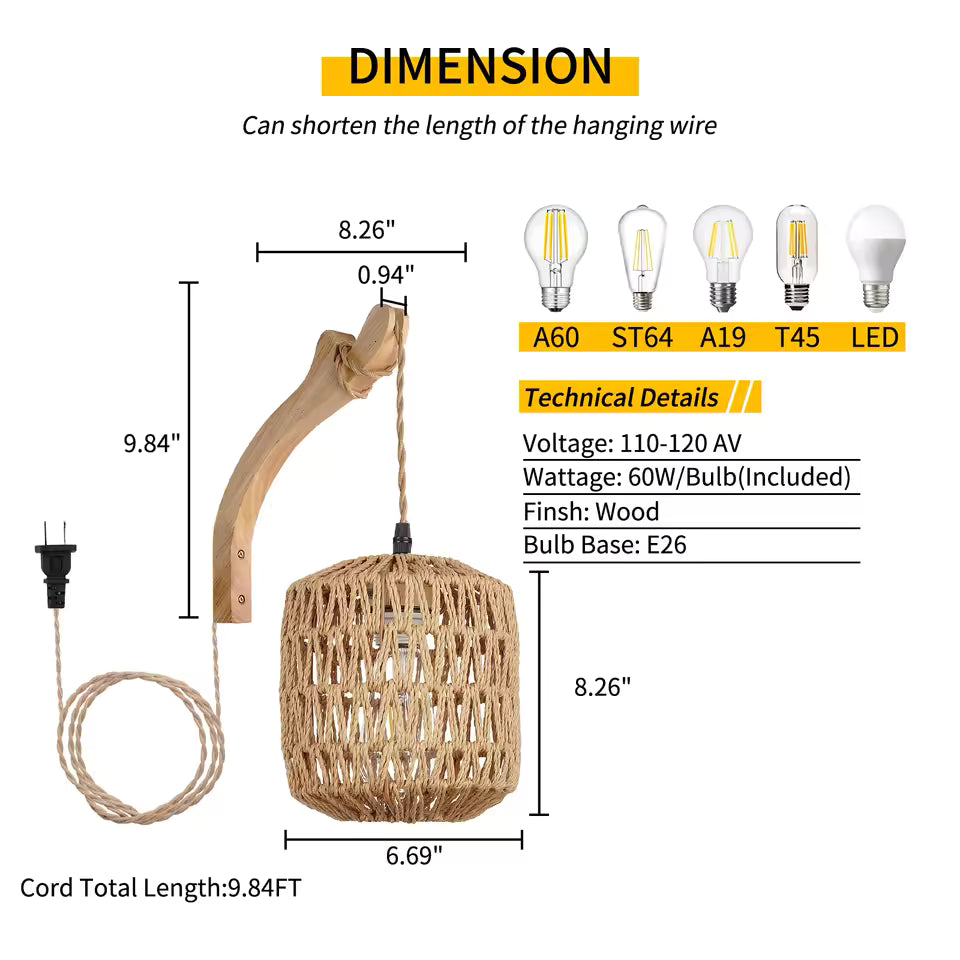 Pendant Plug In Lamp