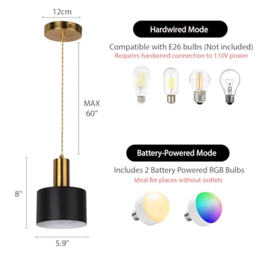 Black and Gold Pendant Lamp
