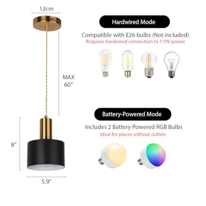 Black and Gold Pendant Lamp
