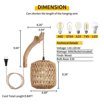 Pendant Plug In Lamp